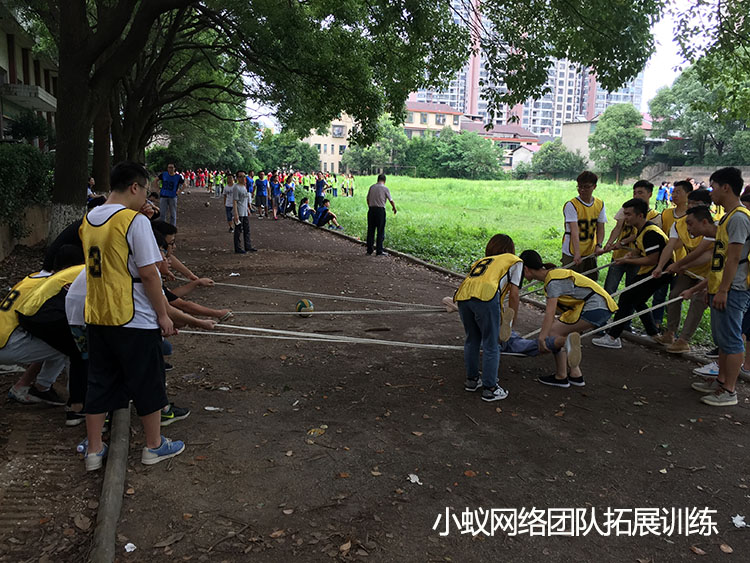 小蚁网络高防服务器团队拓展训练