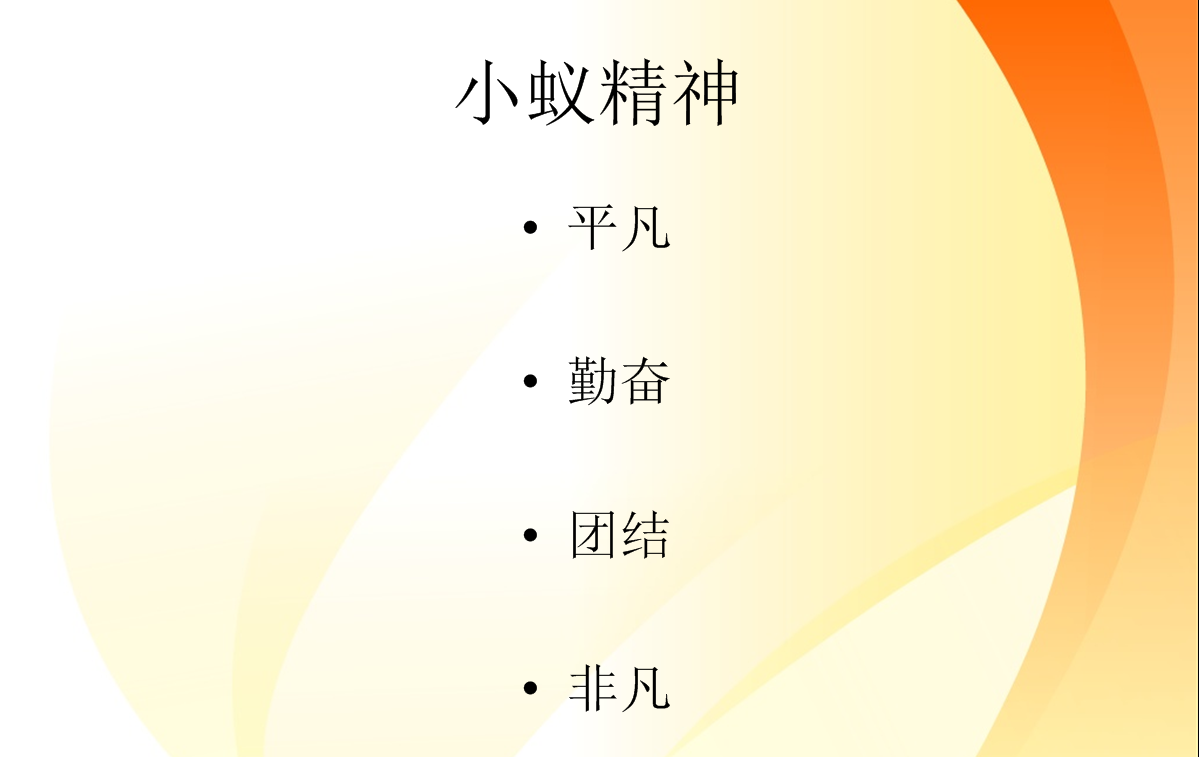 小蚁网络