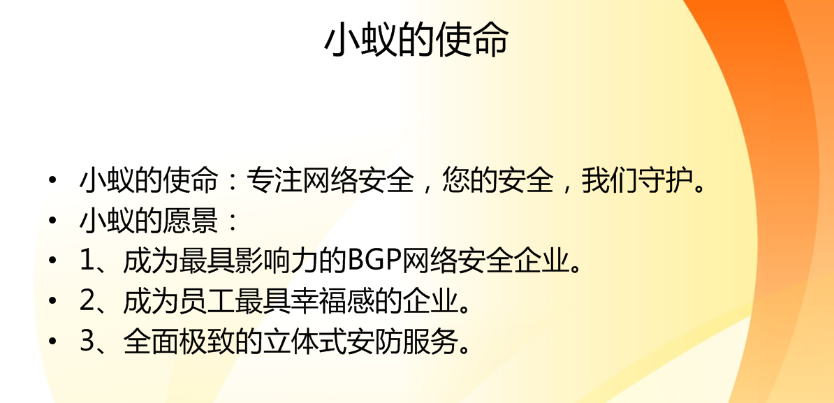 小蚁网络
