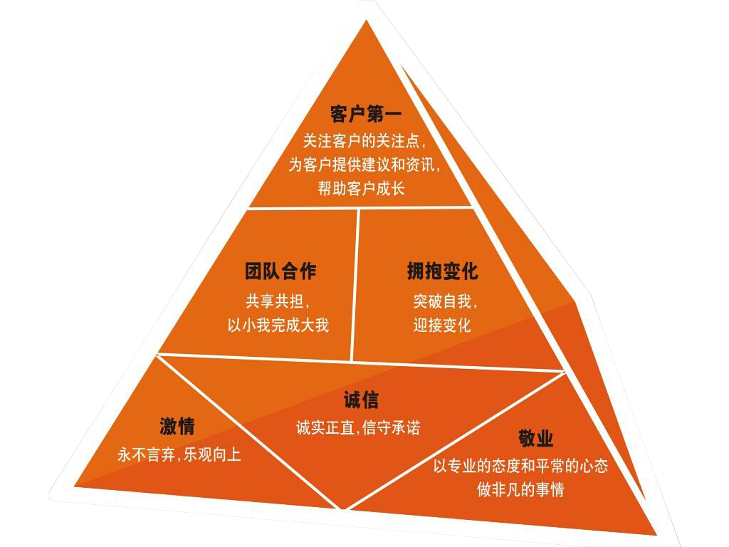 小蚁网络