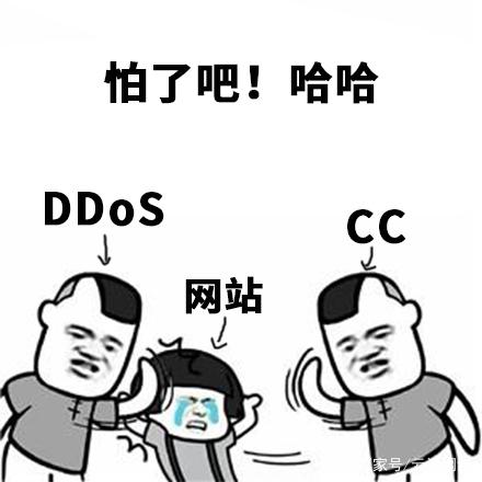 服务器被DDOS